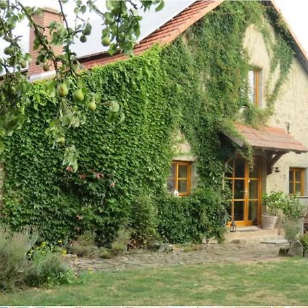 Haus Falkenhof Knullwald Екстер'єр фото