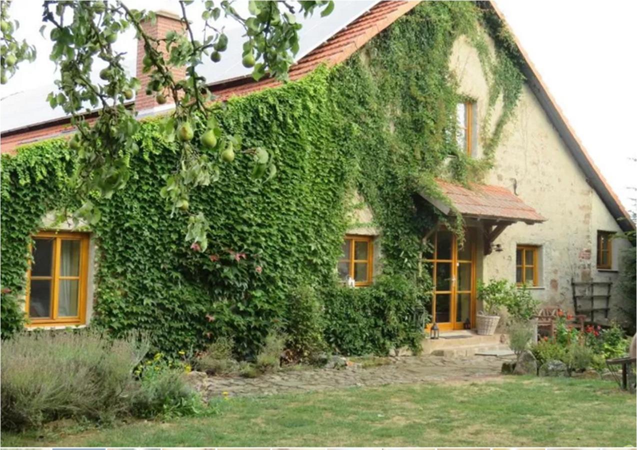 Haus Falkenhof Knullwald Екстер'єр фото